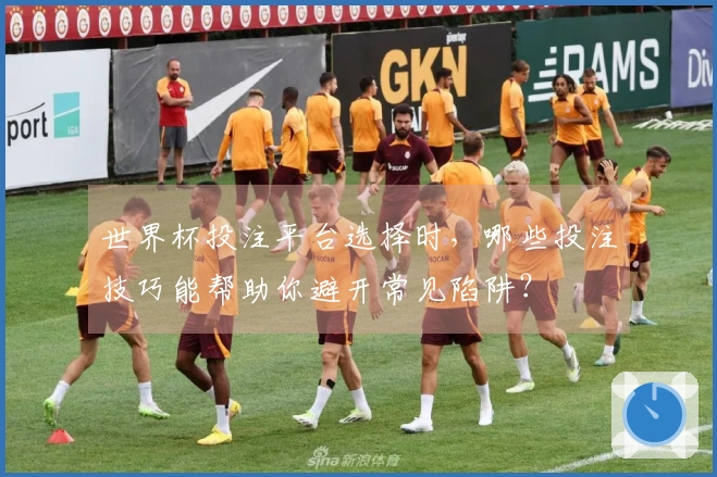 世界杯投注平台选择时，哪些投注技巧能帮助你避开常见陷阱？