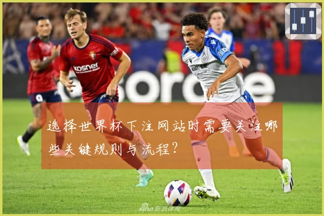 选择世界杯下注网站时需要关注哪些关键规则与流程？
