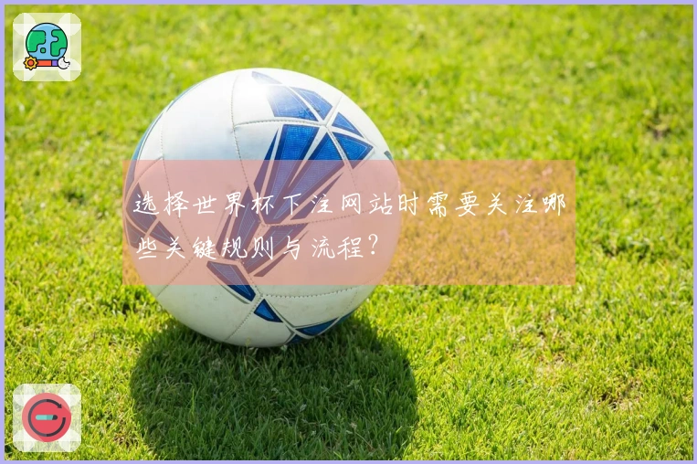 选择世界杯下注网站时需要关注哪些关键规则与流程？