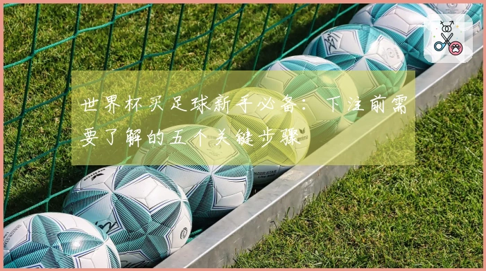 世界杯买足球新手必备：下注前需要了解的五个关键步骤