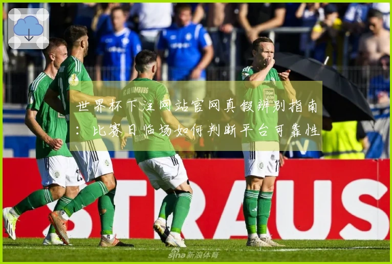 世界杯下注网站官网真假辨别指南：比赛日临场如何判断平台可靠性