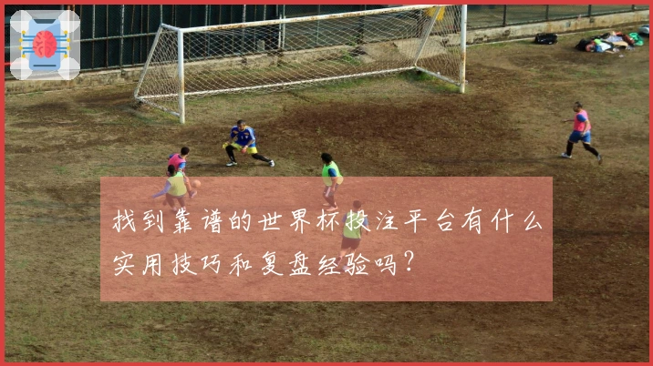 找到靠谱的世界杯投注平台有什么实用技巧和复盘经验吗？
